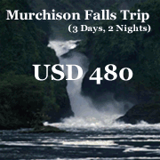 Murchison Falls Safari
