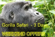 Murchison Falls Wildlife Safari