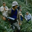 Uganda Safari Adventure
