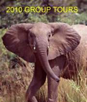 Murchison Falls Safari