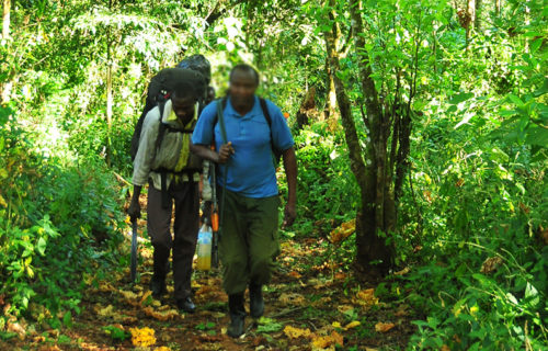 Trekking Mountain Elgon in Eastern Uganda.