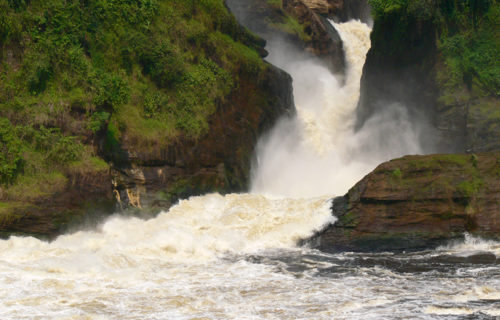 Amazing Murchison Falls in Murchison Falls National Park.