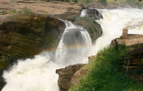 Amazing Murchison Falls in Murchison Falls National Park.