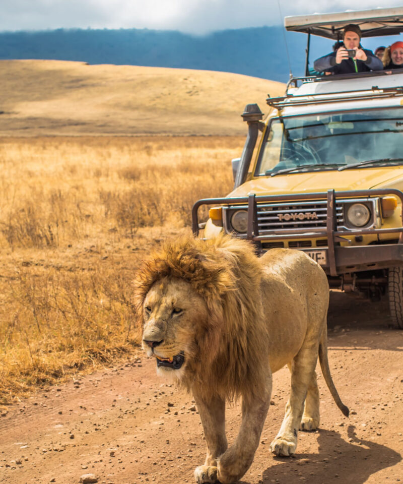 ngorongoro-crater-tanzania