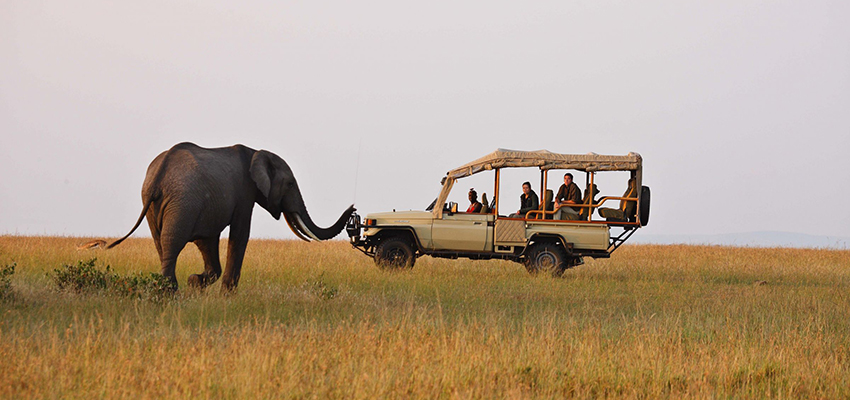 Top Wildlife and Cultural African Safaris in Kenya