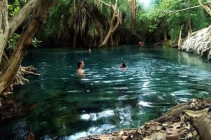 Ngorongoro Crater Safari in Tanzania and Lake Manyara National Park: A Journey into Africa's Natural Wonders