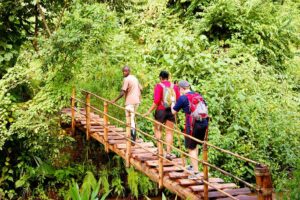 Top Nature Walks and Forest Trails in Uganda, Rwanda and Tanzania