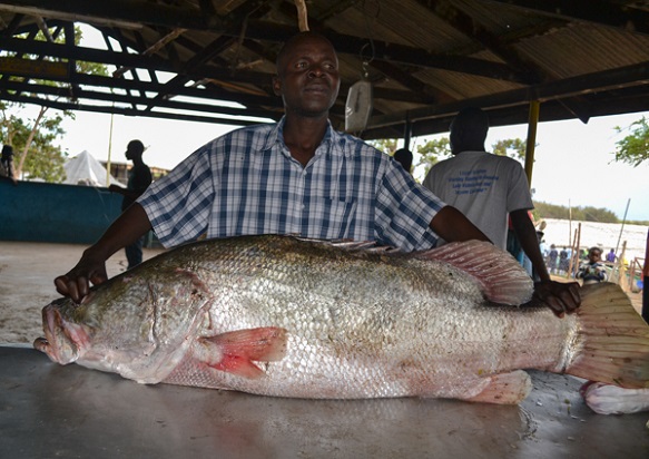 Top Uganda Fishing Safaris and Sport Fishing Tours: Angling Adventures in the Pearl of Africa
