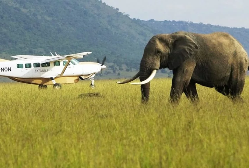 Kenya Flying Safaris and Adventure Packages: Your Ultimate East African Experience