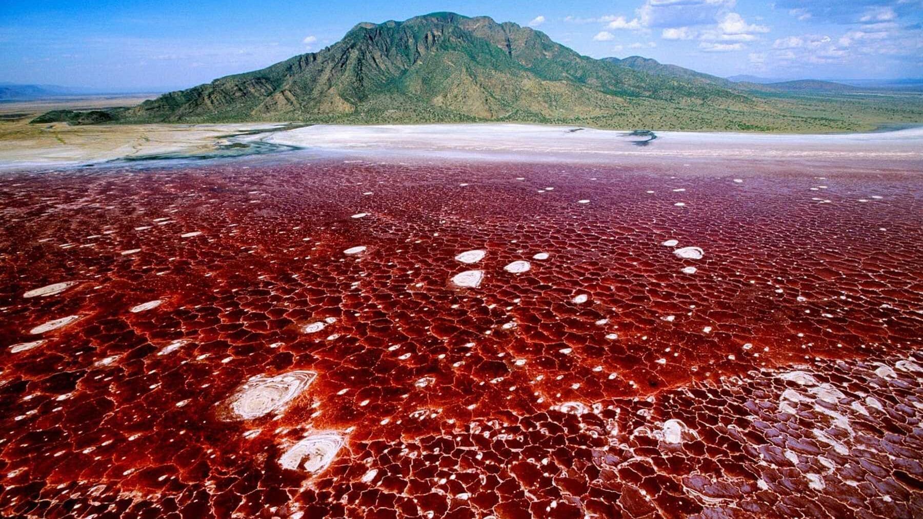 Lake Natron: Tanzania's Extraordinary Alkaline Wonder