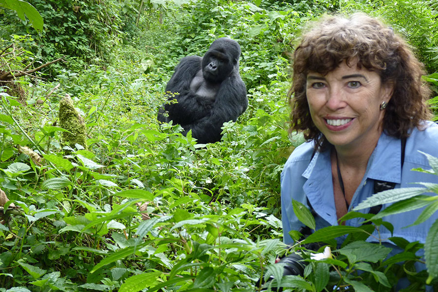 Everything You Need for Gorilla Trekking in Uganda: The Ultimate Preparation Guide