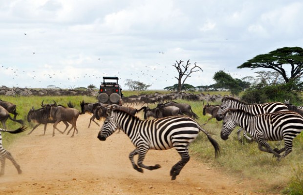 Arusha National Park: Tanzania's Compact Safari Gem