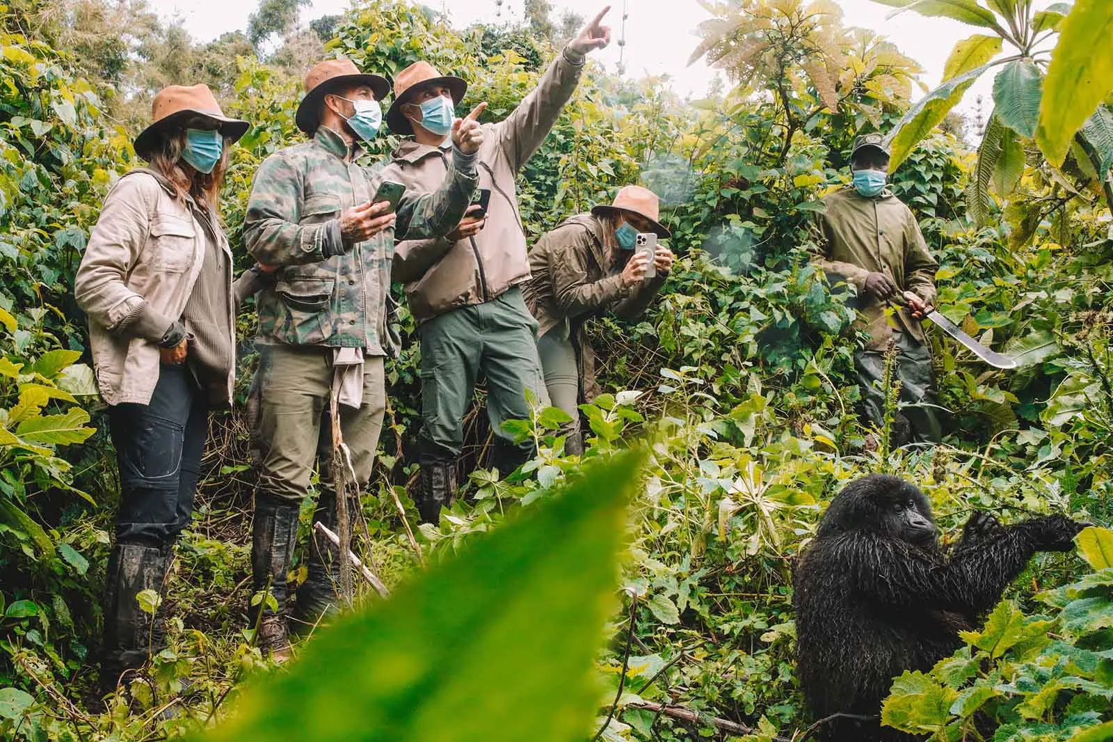 Everything You Need for Gorilla Trekking in Uganda: The Ultimate Preparation Guide