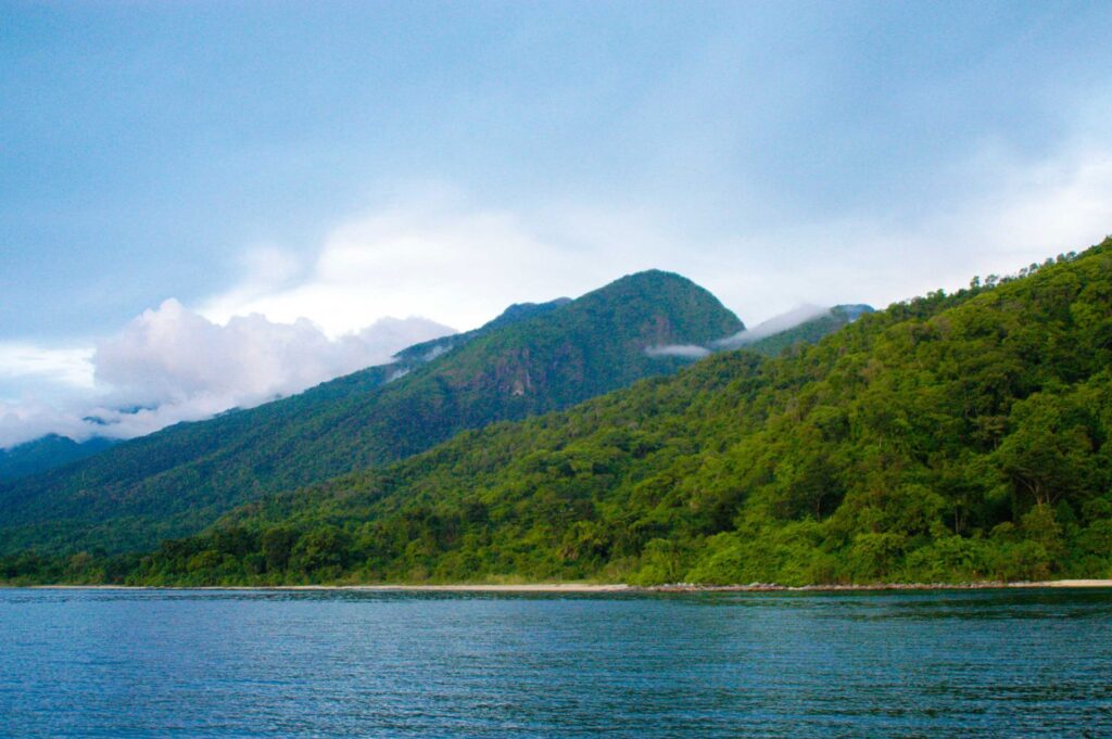 Mahale Mountains National Park: Tanzania's Hidden Gem for Primate Encounters