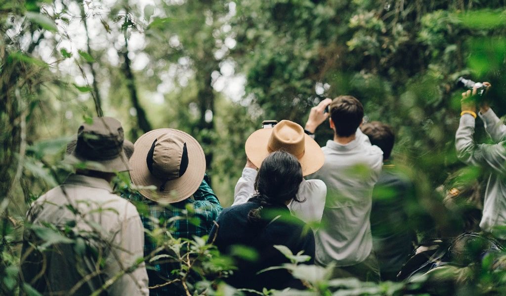 Kabwoya Wildlife Reserve: A Hidden Gem for Uganda Safaris