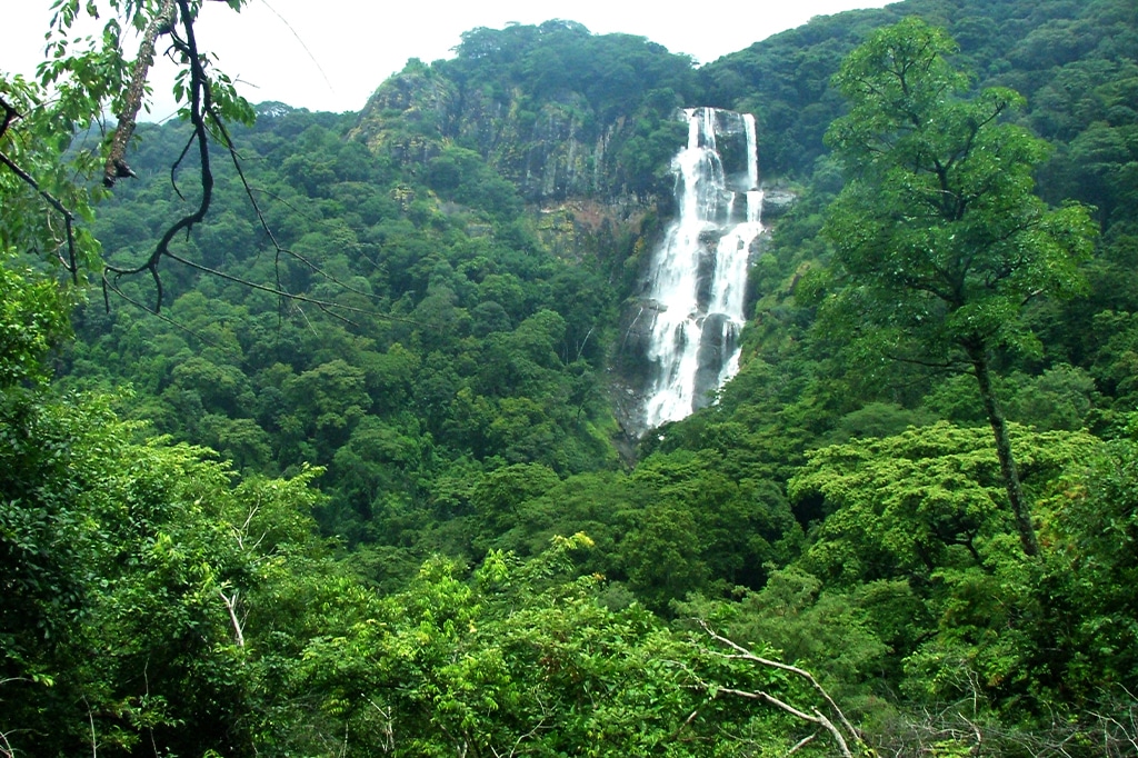 Udzungwa Mountains National Park: Tanzania's Forgotten Eden