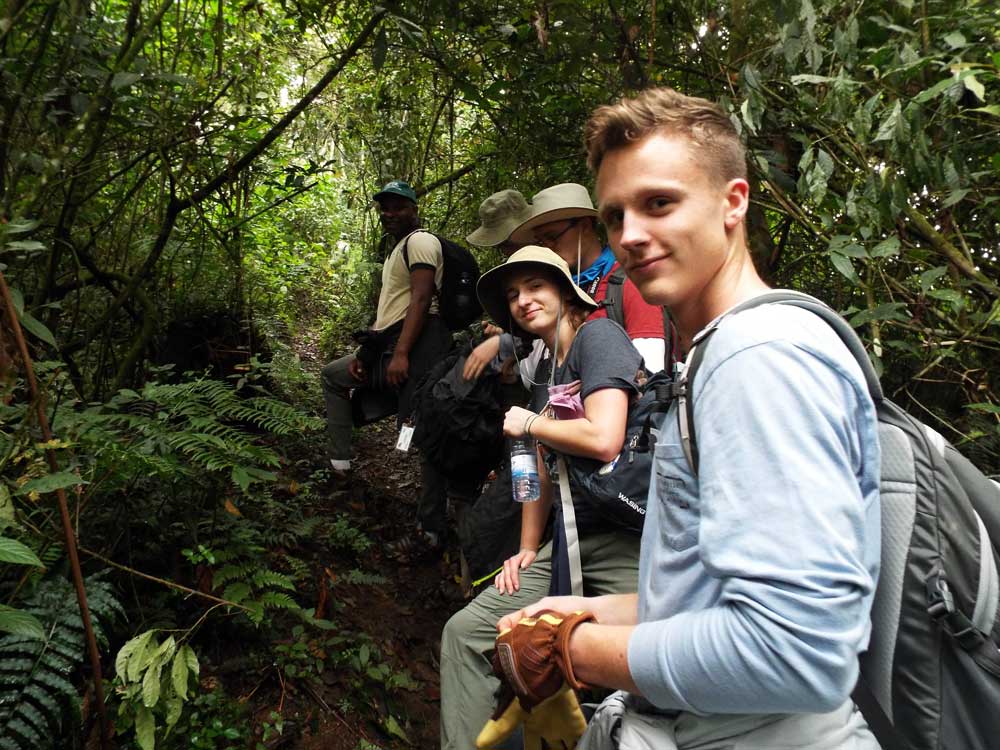 Gishwati-Mukura National Park: Rwanda's Emerging Wilderness Gem