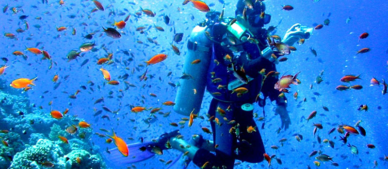 Malindi Marine National Park: Kenya's Underwater Jewel