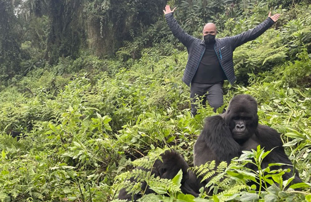 Mountain Gorillas: Earth's Most Magnificent Primates