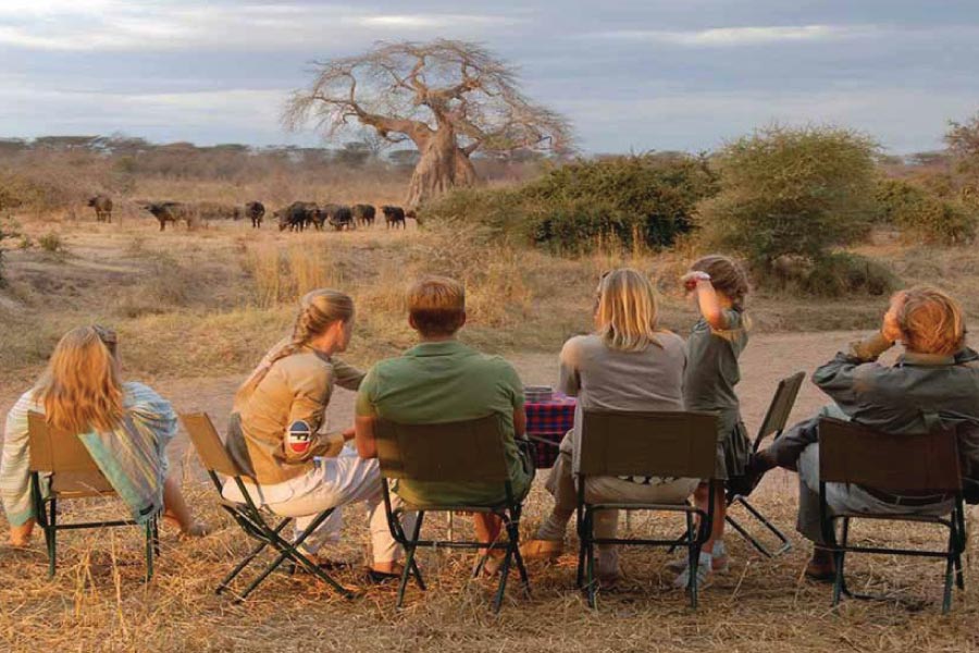 Ruaha National Park: Tanzania's Hidden Gem for Authentic Wildlife Safaris