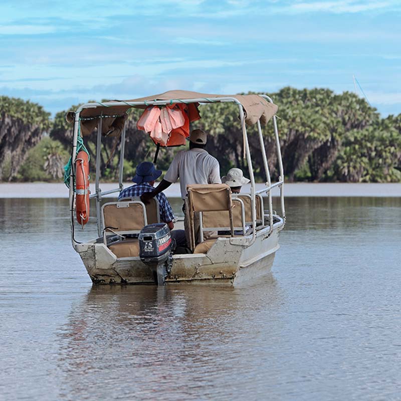 Saadani National Park: Where the Beach Meets the Bush