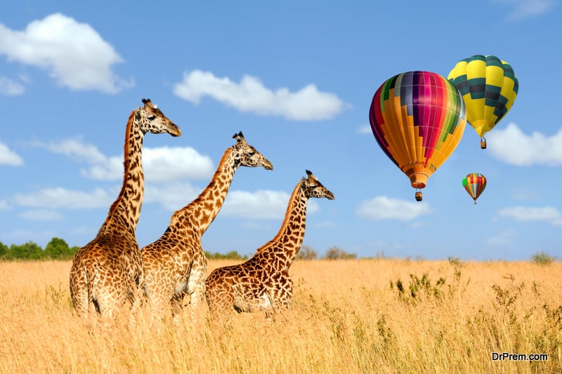 Where to Do Hot Air Balloon Safaris in Kenya