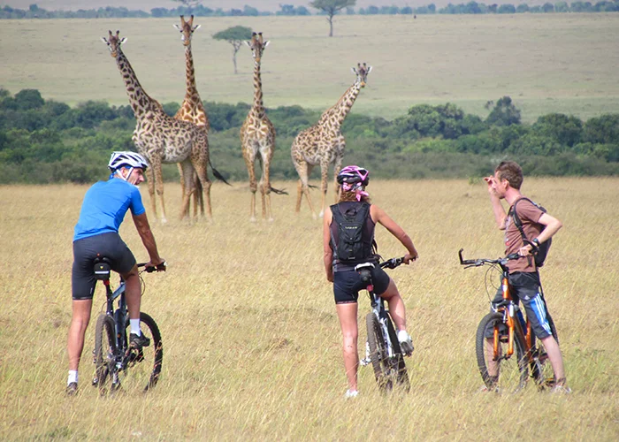 Discovering Pian Upe Wildlife Reserve