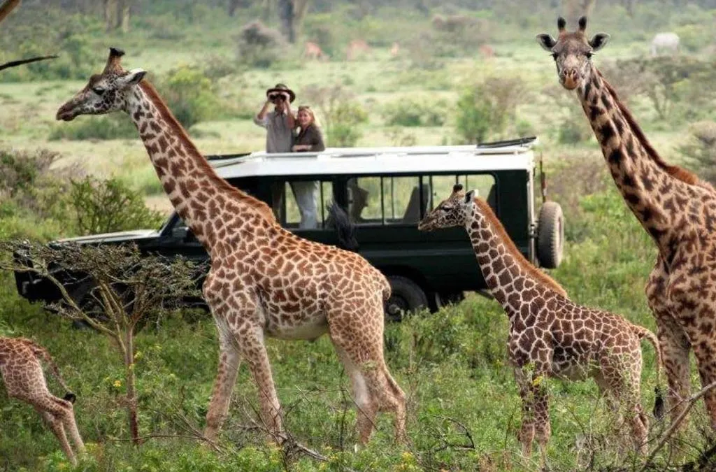 Discovering Pian Upe Wildlife Reserve