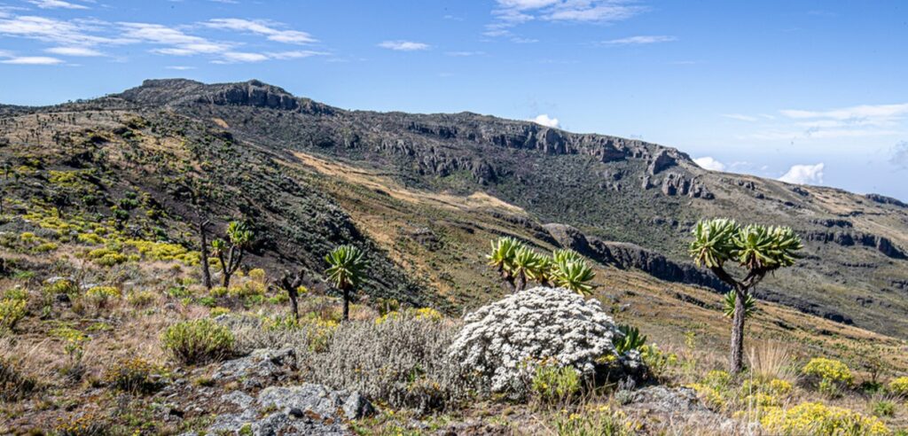 Exploring Mbale City: A Gem in Eastern Uganda