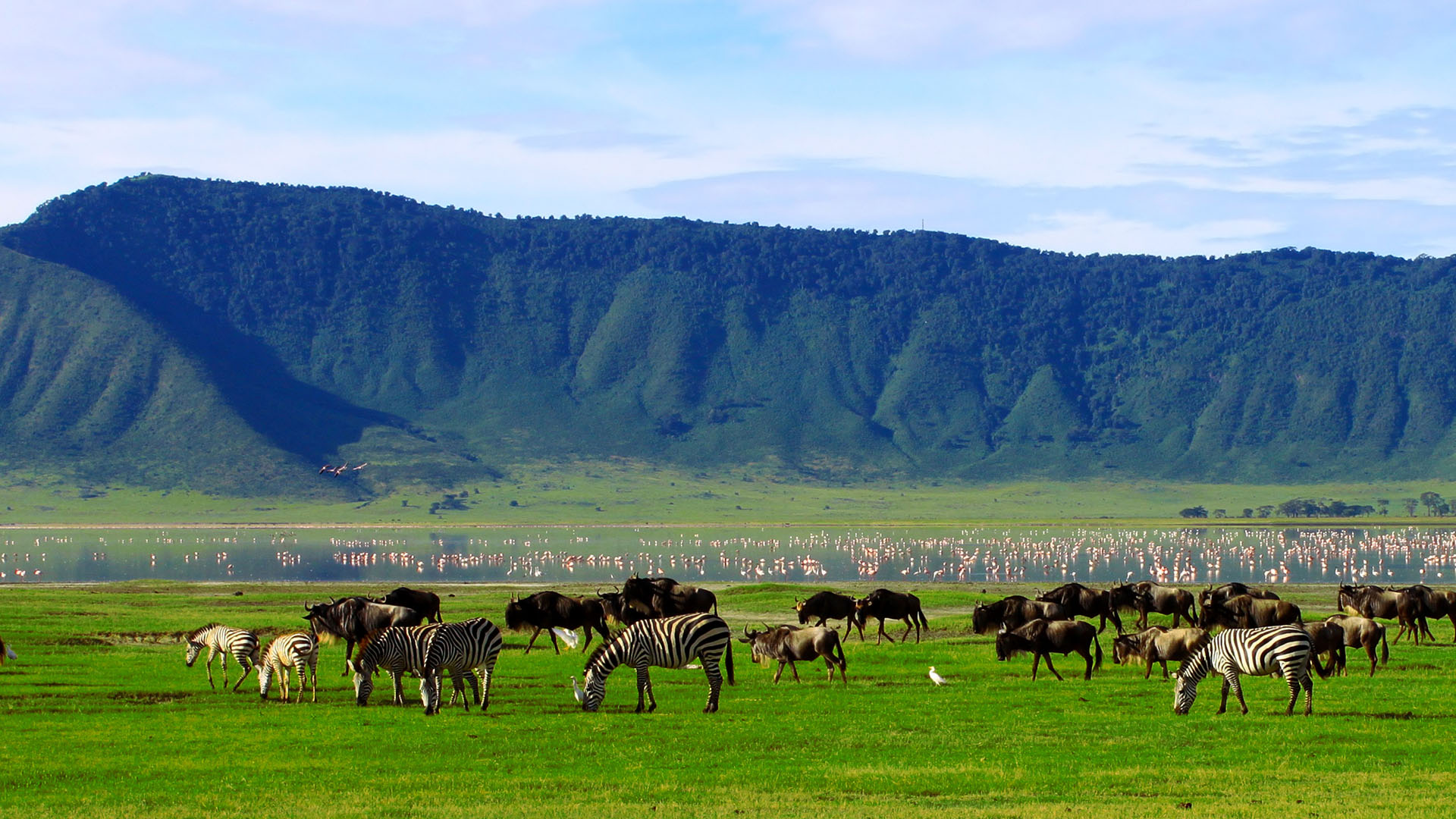 Ngorongoro Crater: A Deep Dive into East Africa’s Wildlife Jewel