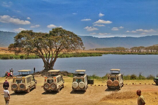 Ngorongoro Crater: A Deep Dive into East Africa’s Wildlife Jewel