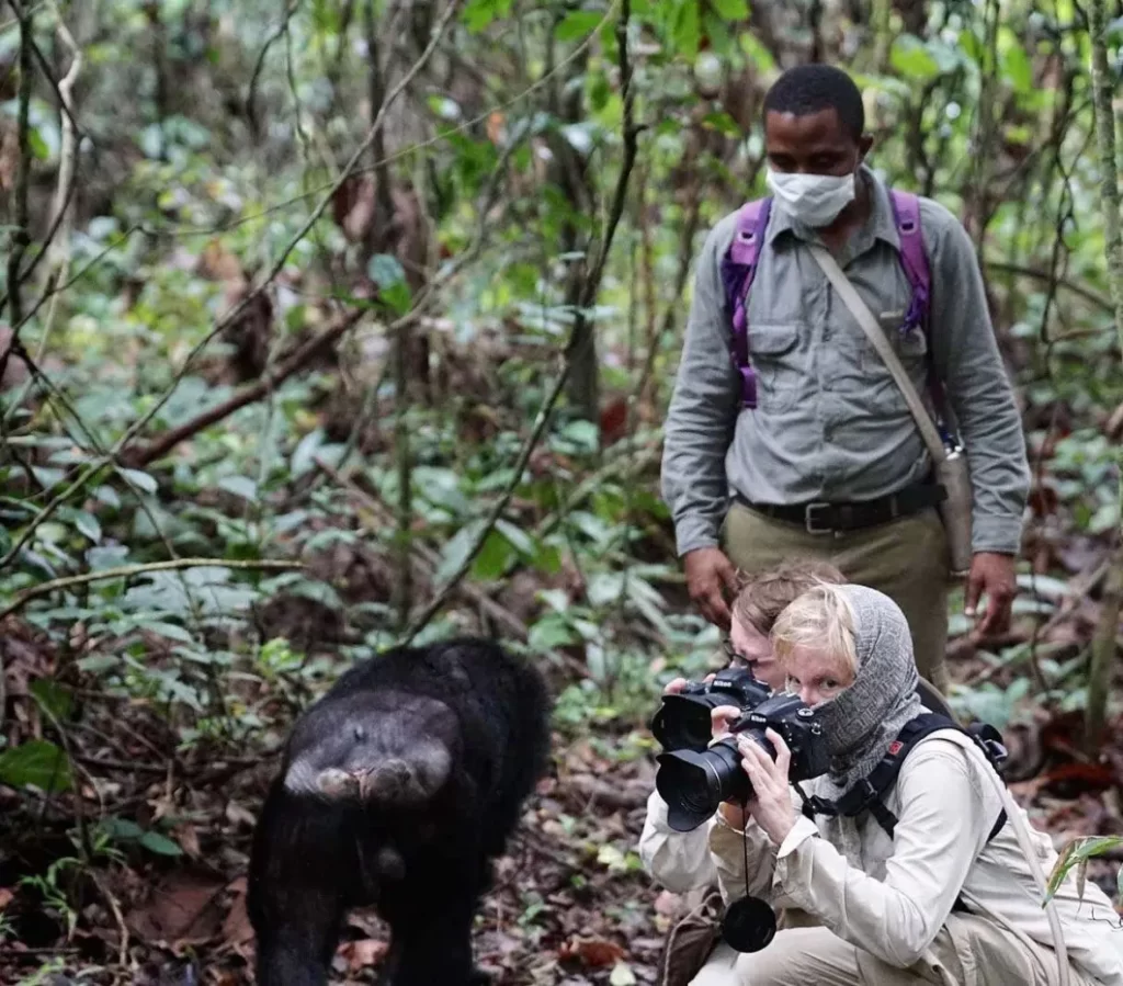 7 Things you should not miss on a safari in East Africa