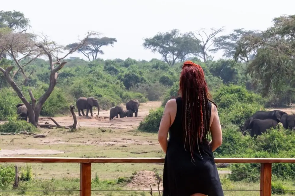 Queen Elizabeth National Park: A Wild, Watery Wonder of Uganda