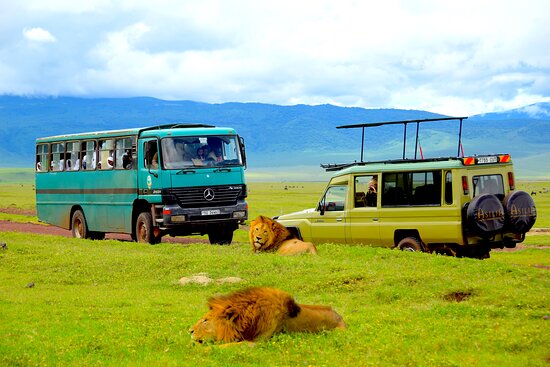 Ngorongoro Crater: A Deep Dive into East Africa’s Wildlife Jewel