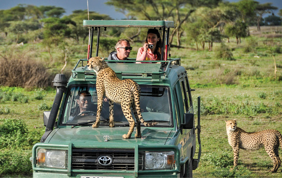 When to Visit Tanzania: Choosing the Perfect Season for Tanzania Safaris