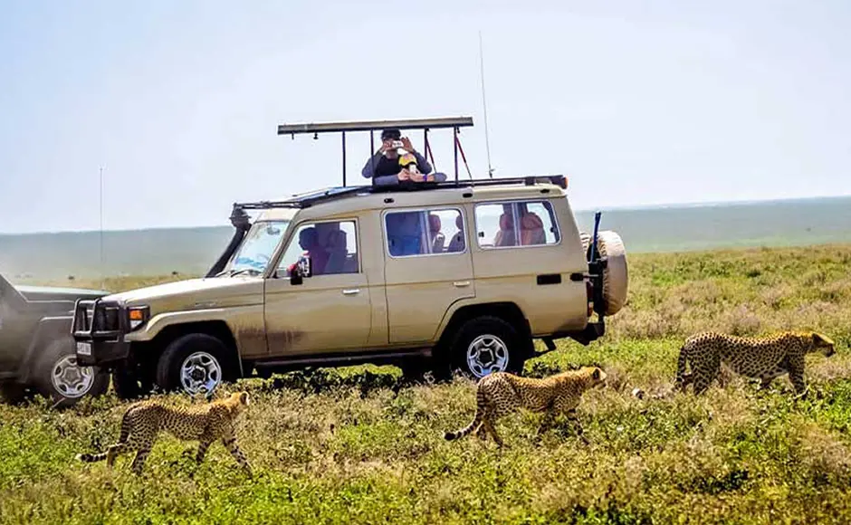 Exploring Self-Drive Safaris in Kenya: The Ultimate Road-Trip Adventure