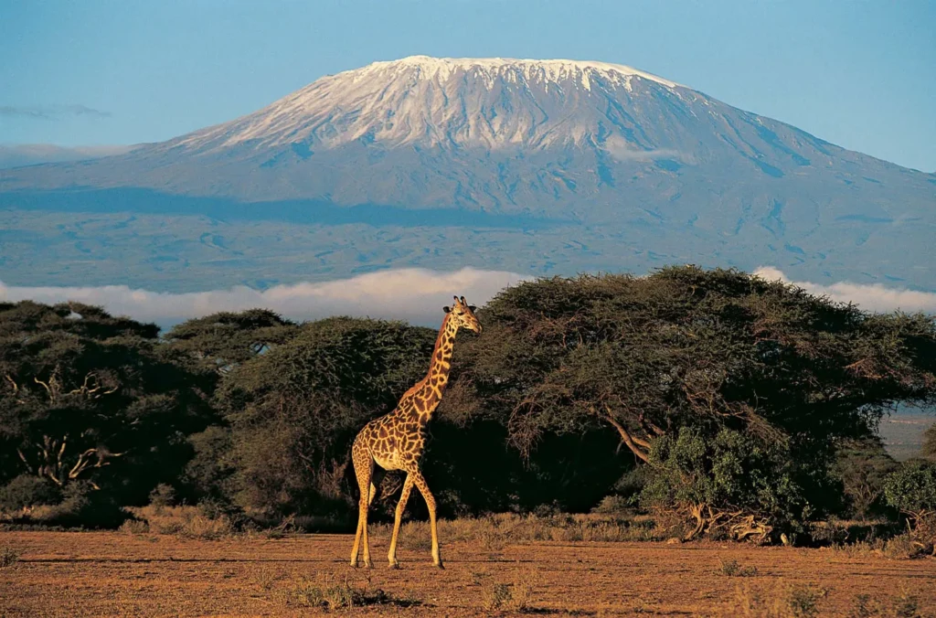What to Do in Moshi After a Kilimanjaro Hike 