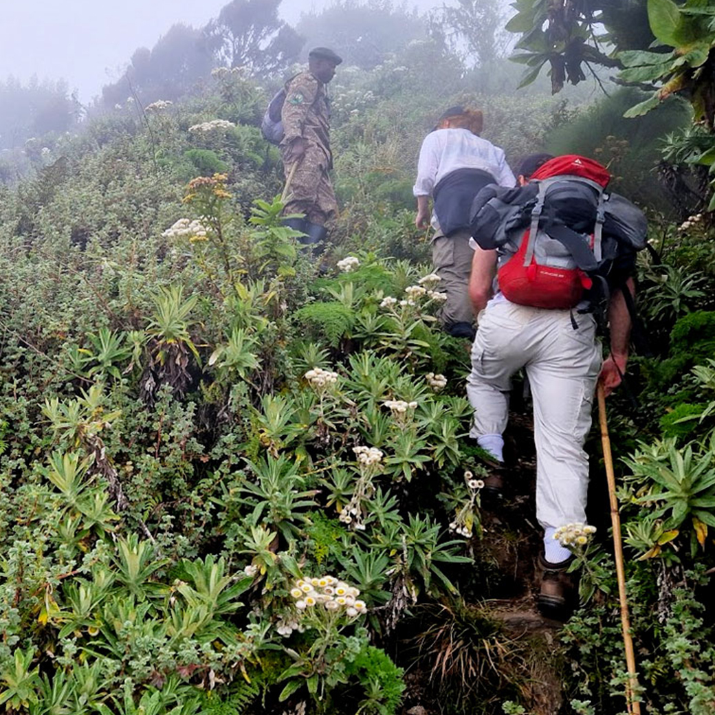 Conquering Mount Sabinyo: A Rugged, Rewarding Hike in Rwanda