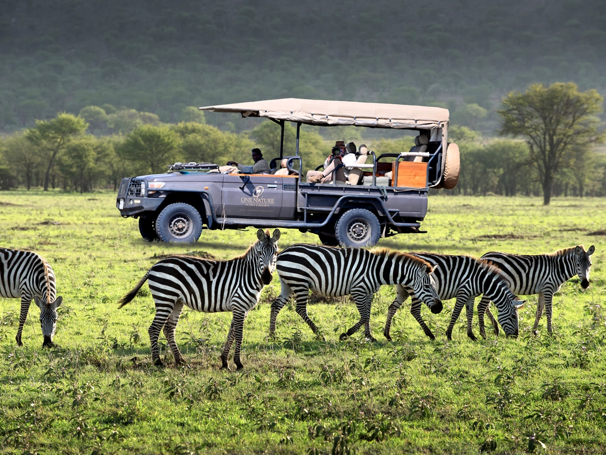 Serengeti National Park vs Kruger National Park for Your Safari