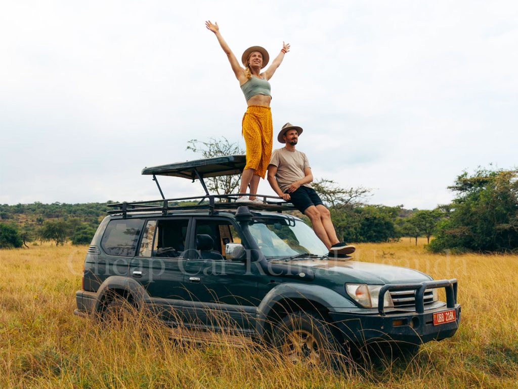 Exploring Self-Drive Safaris in Kenya: The Ultimate Road-Trip Adventure