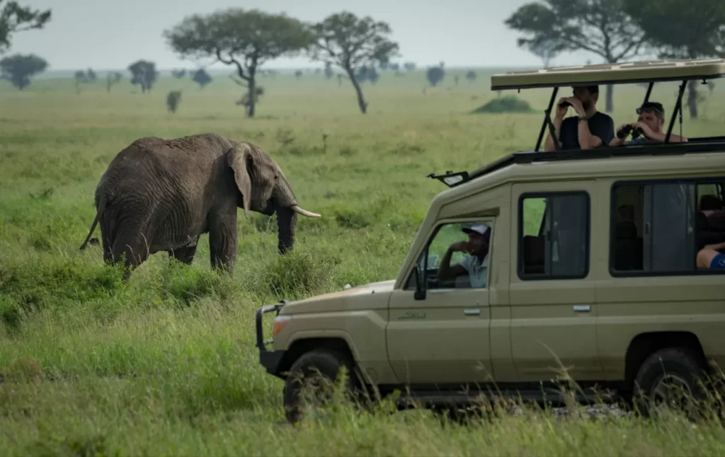 When to Visit Tanzania: Choosing the Perfect Season for Tanzania Safaris
