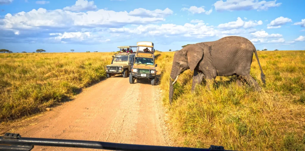 When to Visit Tanzania: Choosing the Perfect Season for Tanzania Safaris