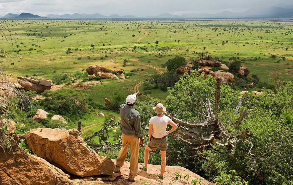Walking Safaris & Bush Walks in East Africa: A Deeper Way to Experience the Wild