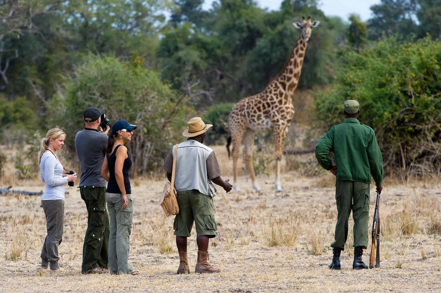 Walking Safaris & Bush Walks in East Africa: A Deeper Way to Experience the Wild