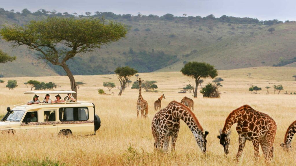 When to Visit Tanzania: Choosing the Perfect Season for Tanzania Safaris