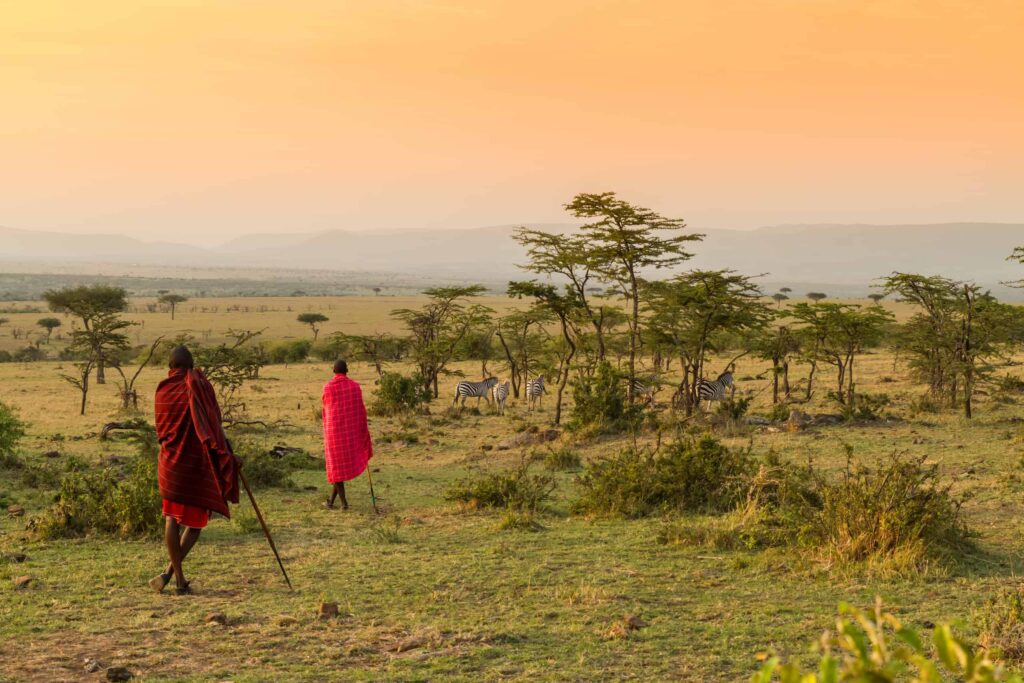 Discover the Bisanadi National Reserve