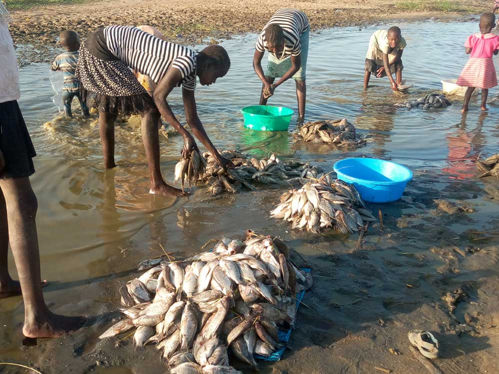 Lake Turkana: Kenya’s Rugged Jewel—A Journey for the Bold