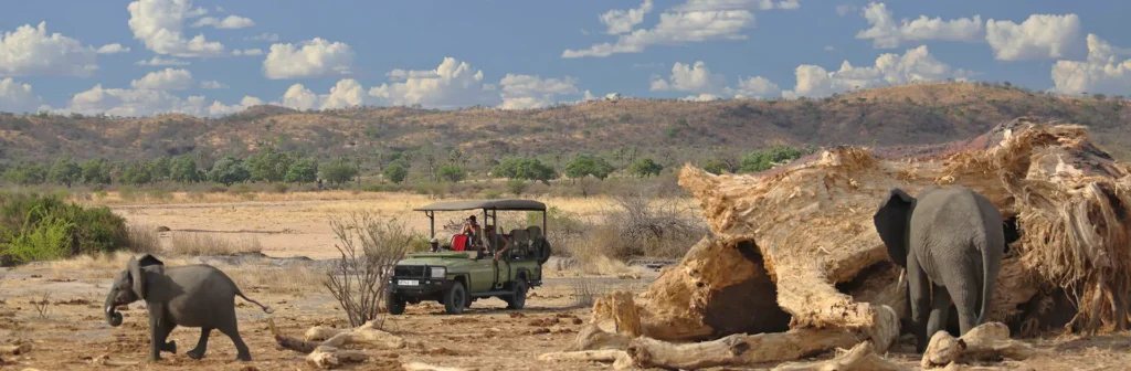 Accommodations in Ruaha National Park: Where to Stay for an Unforgettable Tanzania Safari