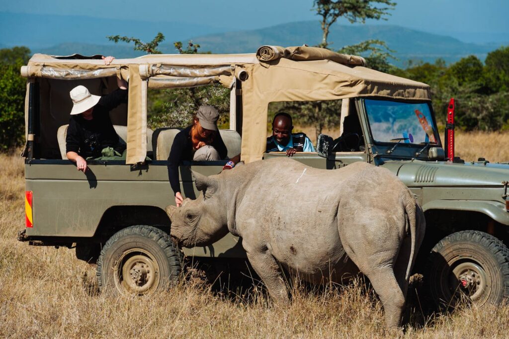 The Best Time to Visit Ol Pejeta: A Seasonal Kenya Safaris Guide