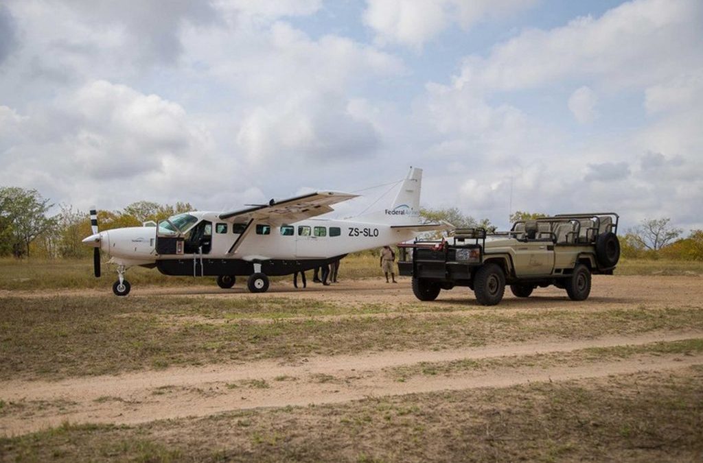 How to Plan a Great Migration Safari in Kenya and Tanzania